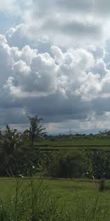Antaranews Jatim - News update