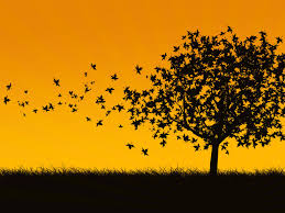 Resultado de imagem para imagem de folhas caindo