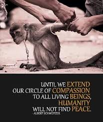 Compassion quote by Albert Schweitzer. With a photo of the sad ... via Relatably.com