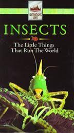 Insects - The Little Things That Run the World - Movie Quotes ... via Relatably.com