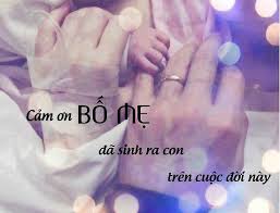 Kết quả hình ảnh cho cha mẹ