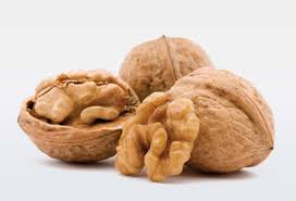 Image result for walnut shell