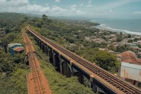 Trend Google: sierra leone