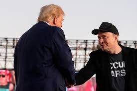Trump and Musk's 'Epic' Deregulation Must Preserve Financial Stability - Bloomberg