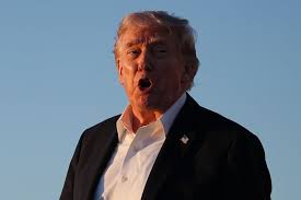 EU: Trump verschiebt Zolldrohung nach Gegenwind im EU-Parlament