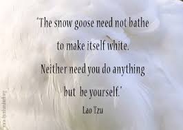 Lao Tzu Quotes On Journey. QuotesGram via Relatably.com