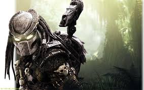 Image result for predator