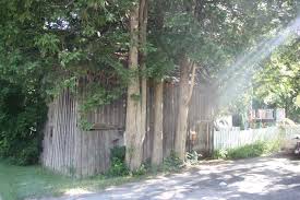 CollingwoodToday.ca - News update