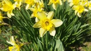 погода хмельницький