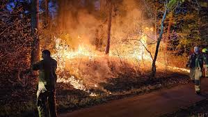 Bosbrand snel geblust in Nunspeet, automobilist aangehouden voor rijden onder invloed