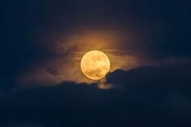Trend Google: luna oggi