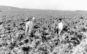 Image result for Mexican American immigrants in 1930s