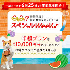 Yahoo!ニュース - News update