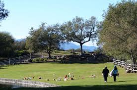 Image result for kennedy park napa june news