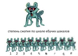 images?q=tbn:ANd9GcTXn9SnntC1DDWFJYu2vj-uEqueCxR-GRlwly6iT_HjnpI0ZZqL