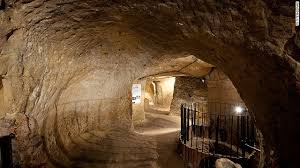 Image result for củ chi
