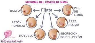 Resultado de imagen para cancer de mama