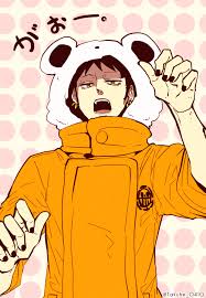 Résultat de recherche d'images pour "trafalgar x kidd"