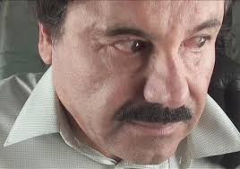 Image result for el chapo