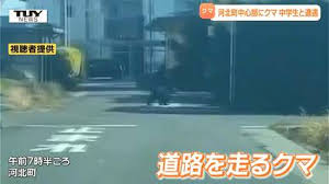 News source: TBS NEWS DIG