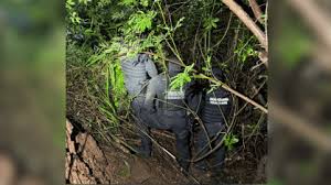 Corretora morta em Goiás: entenda dinâmica do crime, segundo a polícia