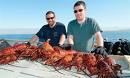 HD Daytime California Lobster Diving -