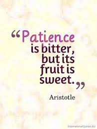 Patience Quotes on Pinterest | Quotes About Sacrifice, Freedom ... via Relatably.com