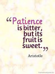 Patience Quotes on Pinterest | Quotes About Sacrifice, Freedom ... via Relatably.com