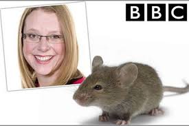 BBC weather girl Kate Kinsella had to stop a live broadcast after spotting a MOUSE in the studio. Kate was reading out the bulletin for BBC Three Counties ... - BBC%2520Weather%2520forecast%2520disrupted%2520by%2520mouse