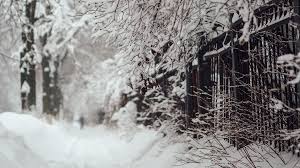 дождь со снегом