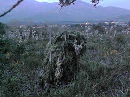 Image result for World Foreign Legions