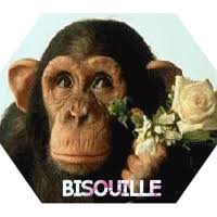 Résultat de recherche d'images pour "animaux animés"