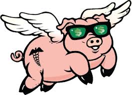Image result for flying pig