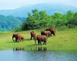 Image of Thekkady, Kerala picnic spot