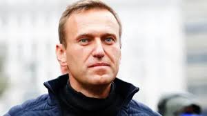 Navalny Poisoned by Kremlin: European Nations Allege Dart Frog Toxin Use