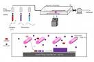 Chapter Introduction to Chemical Vapor Deposition (CVD)