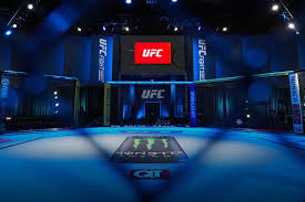 Prelim Results | UFC Fight Night: Muhammad vs Bonfim
