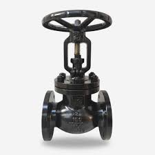 Globe Valve (ANSI) - EMS Valve