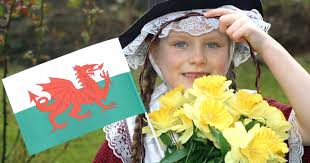 Image result for St Davids Day