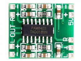 Risultati immagini per pam8403