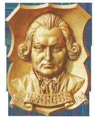 This year the entire organ world celebrates 300th anniversary of Johann Ludwig Krebs (1713-1780) who was one of the most famous of Bach&#39;s students. - 4173577