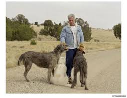Cadaver dogs and drones: Records show scope of search at Zorro Ranch