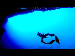Výsledek obrázku pro freediving parts