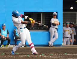 日本ハムの新助っ人カストロ 実戦5試合目で初アーチ 阪神・岩貞から2ラン「芯で打てた」（スポニチアネックス）