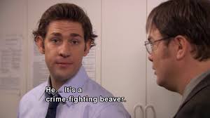 Jim The Office Quotes. QuotesGram via Relatably.com