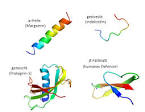 Peptide hormone - , the free encyclopedia