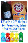 How to get urine stains out of 