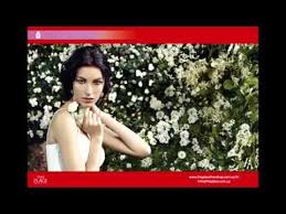 Resultado de imagem para catalogo free shopping produtos personalizados