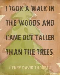 Outdoor Decor &quot;I Took A Walk In The Woods&quot; Quote by Thoreau Print ... via Relatably.com