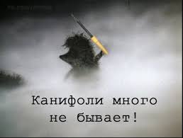 images?q=tbn:ANd9GcTZsBHxZbTr9CbiDvwtM6RjkA64qzfh15U3zBWJAl2ZSgcXbWvU